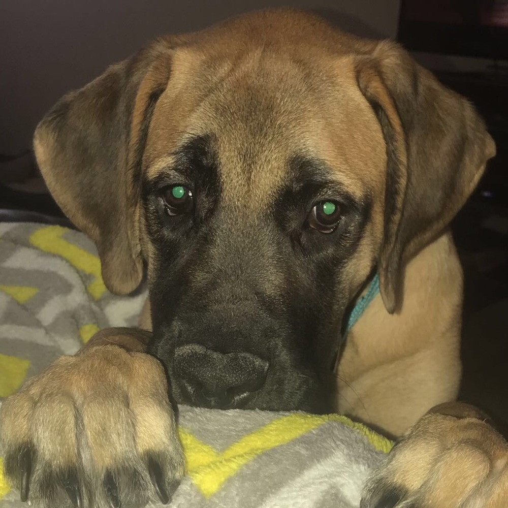 Meet your Posher, Christi